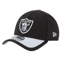 new era nfl 39thirty sideline new era voor heren accessories pet multi Store Nijmegen soyjb661